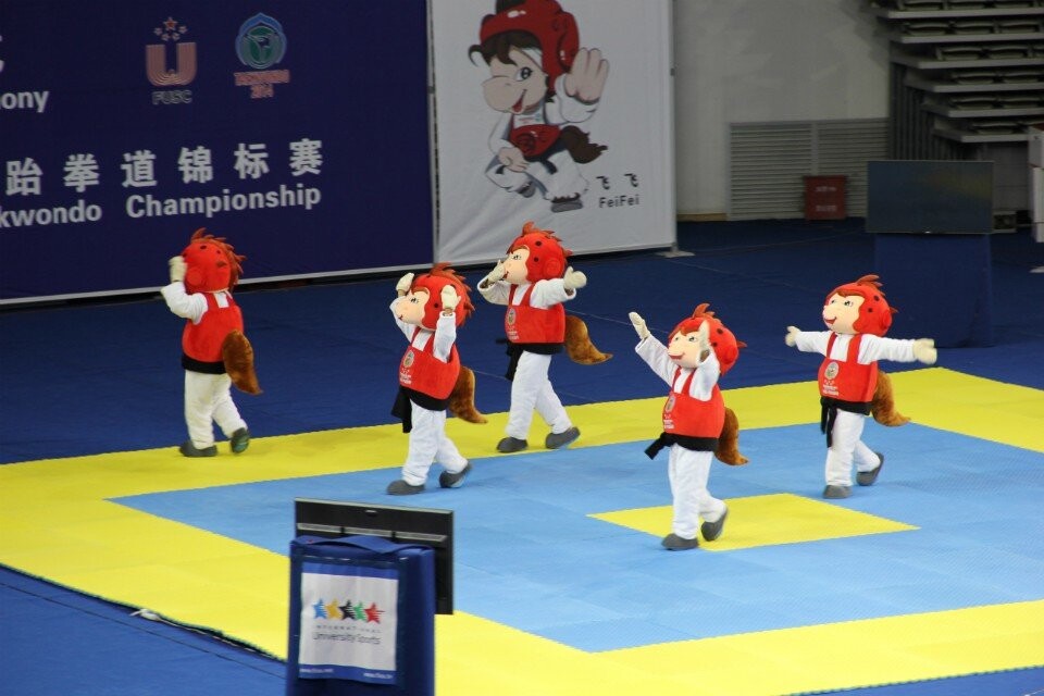 关于传统跆拳道锦标赛,技艺与胆识的较量的信息 关于传统跆拳道锦标赛,技艺与胆识的较量的信息