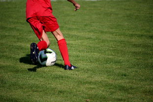 爱游戏体育APP下载-篮球运动员心理韧性提升及干预体系建设，篮球运动员的心理训练