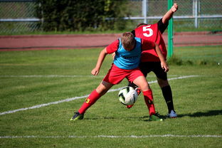 爱游戏体育（AYX）官方APP下载-中国足球俱乐部与国际学校合作开展足球课程，国内足球培训基地