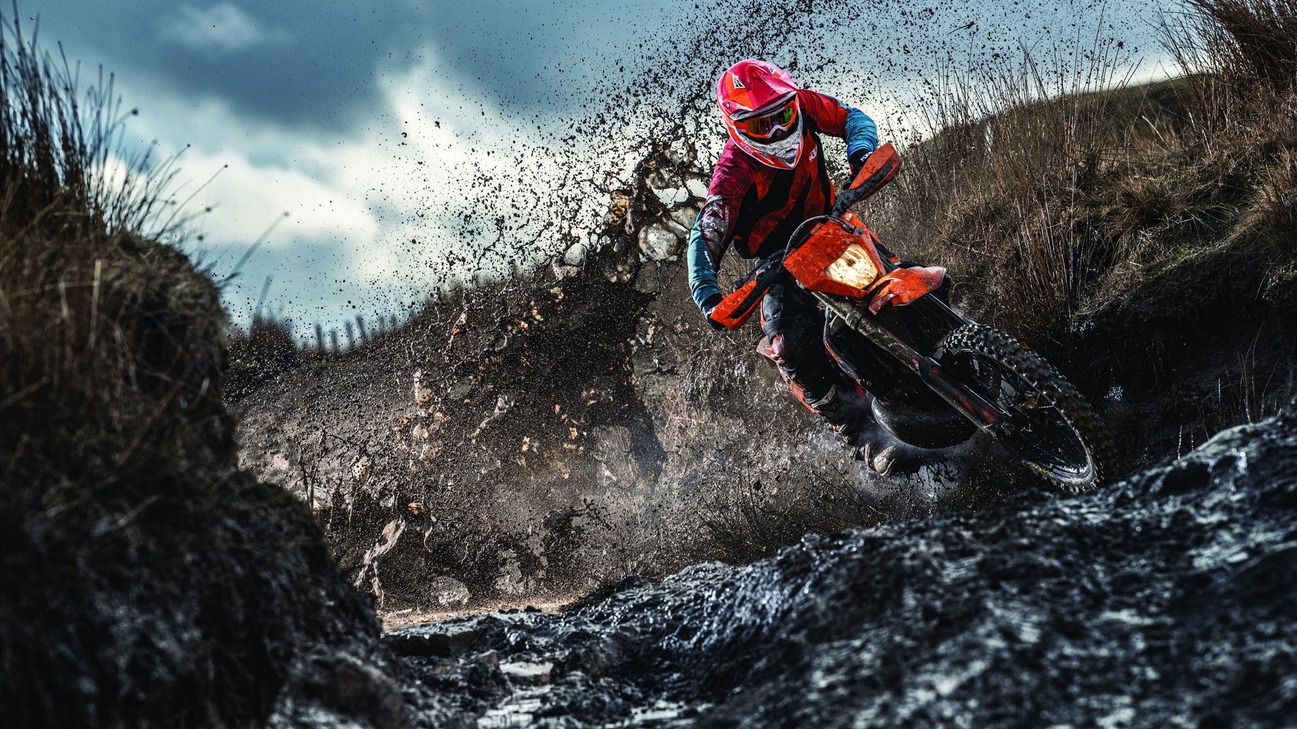 比利时自由泳短程速度惊人，比利时自由行攻略